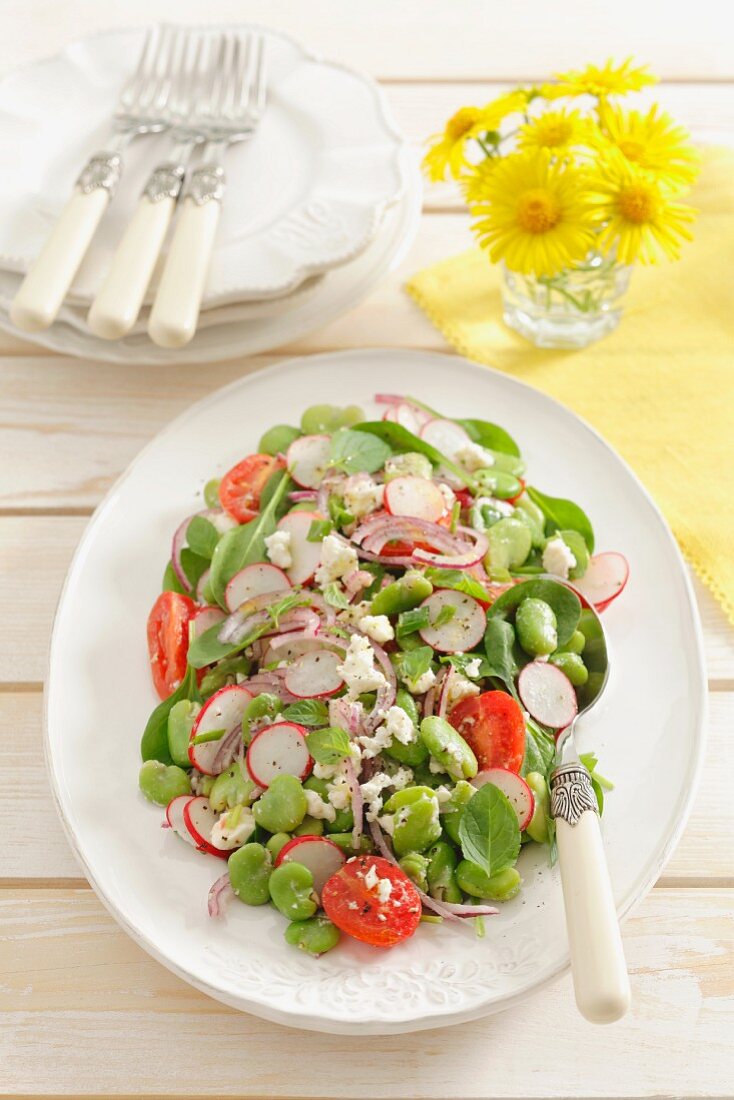 Dicke Bohnen Salat mit Radieschen und Kirschtomaten