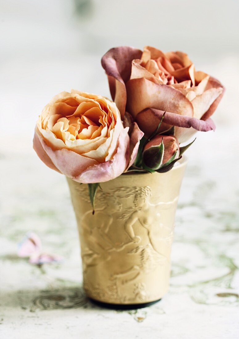 Roses of the variety 'Cubana' in golden beaker