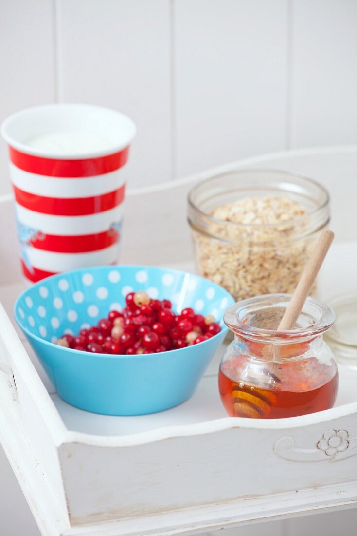 Zutaten für Beerenmüsli mit Joghurt und Honig