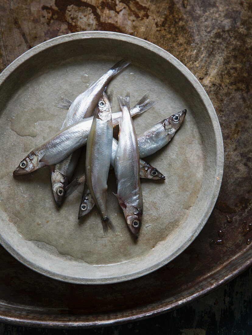 Fresh Sardines Piled on a Plate