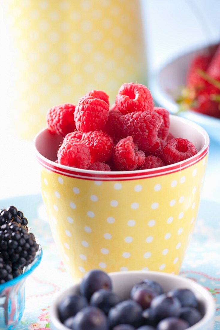 Frische Himbeeren, Brombeeren und Heidelbeeren in Schalen