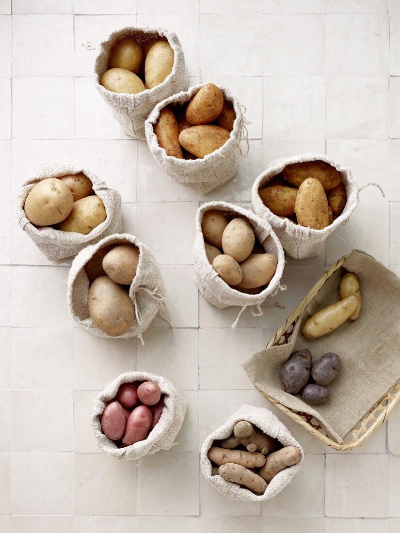 Assorted potato varieties in burlap bags