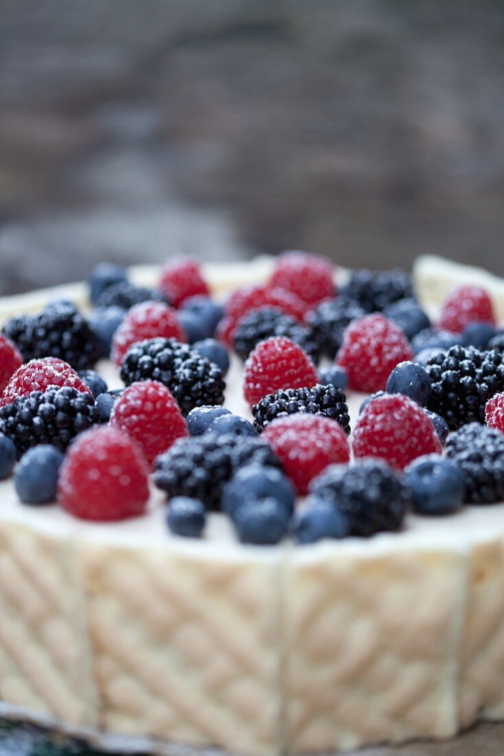 Forest berry-mascarpone cake
