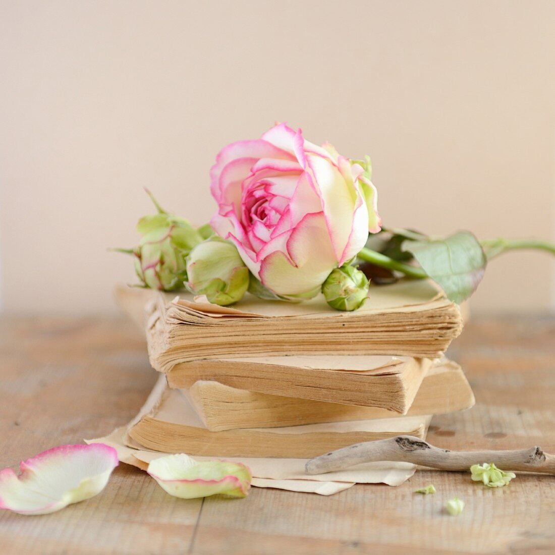 Long stem rose on a stack of old books