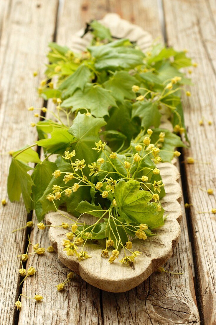 Maple leaves and flowers on a wooden serving platter