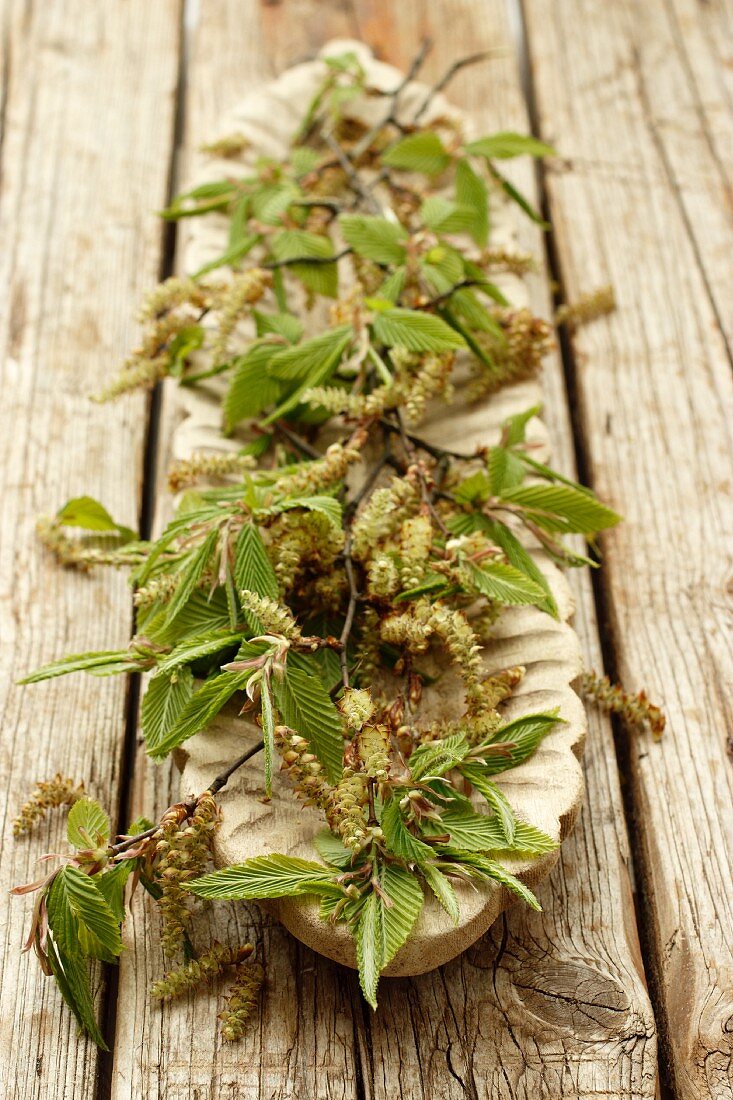 Beech twigs with flowers and leaves on a wooden serving platter