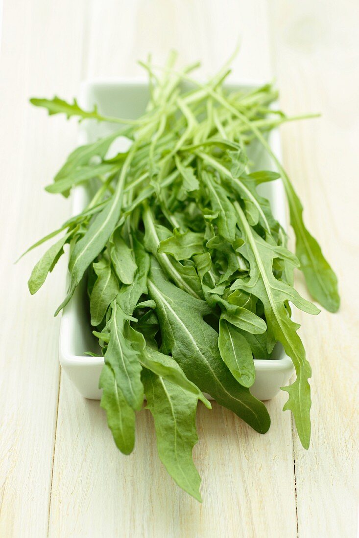 Rucola in einer Schale