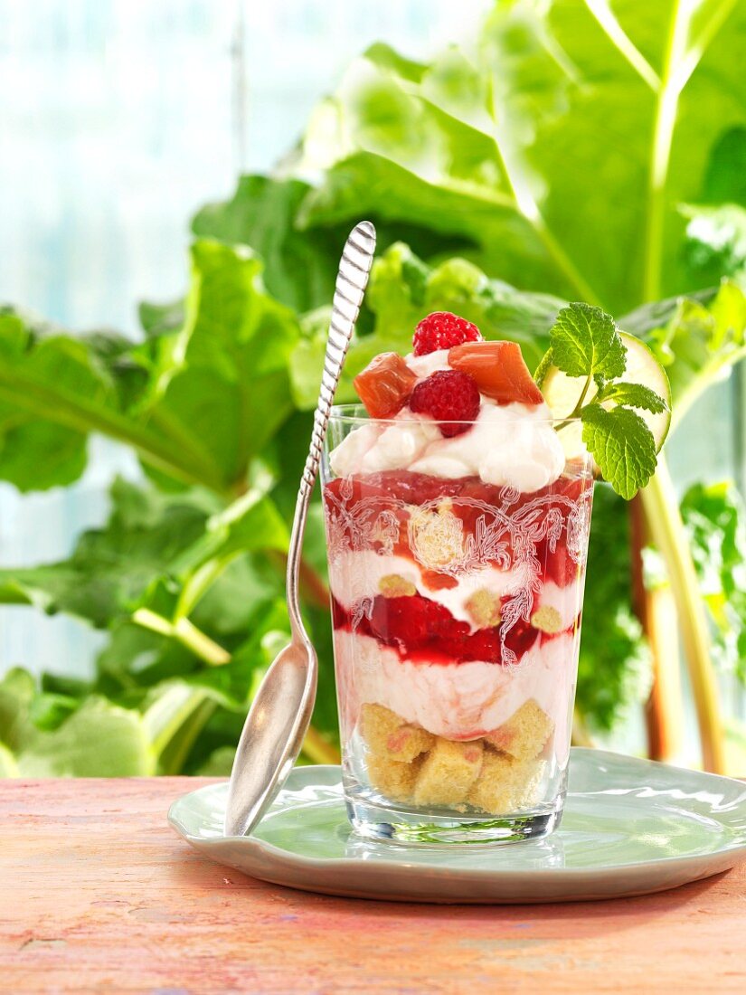 Rhubarb trifle with raspberries