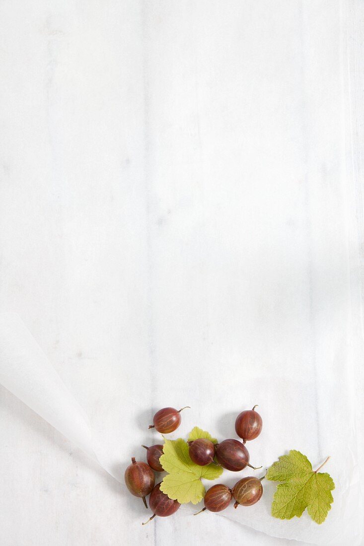 Gooseberries and leaves on baking parchment