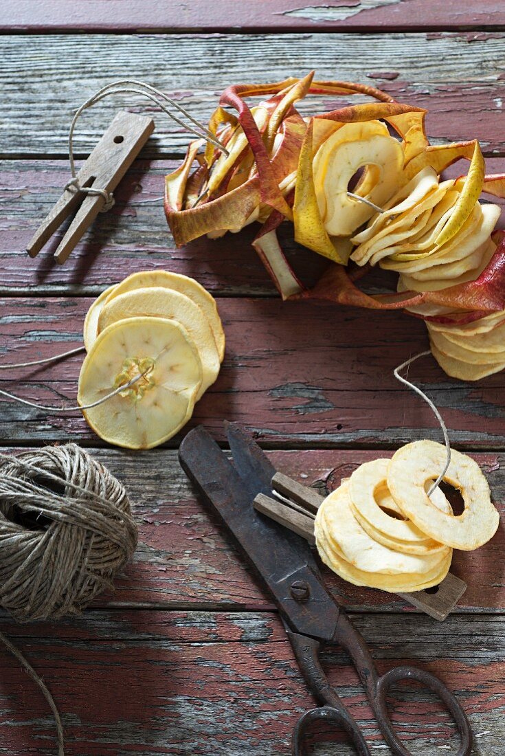 Apple rings being prepared for drying