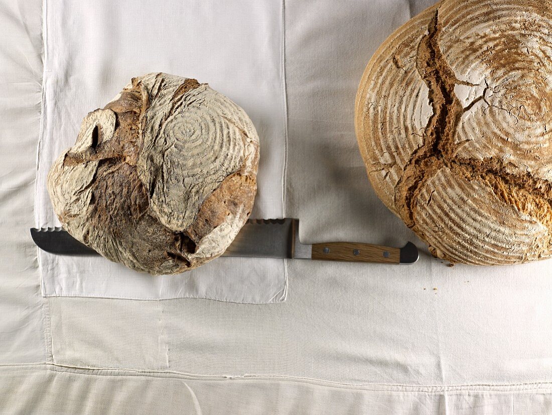 Two whole brown loaves made from mixed rye and wheat flour (view from above)