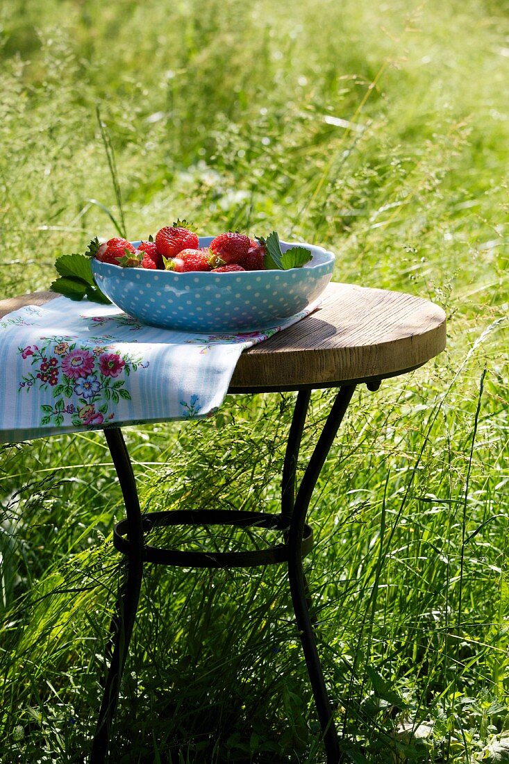 Erdbeeren in einer Schüssel auf Gartentisch