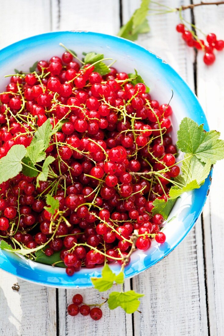 Redcurrants with leaves in a bowl