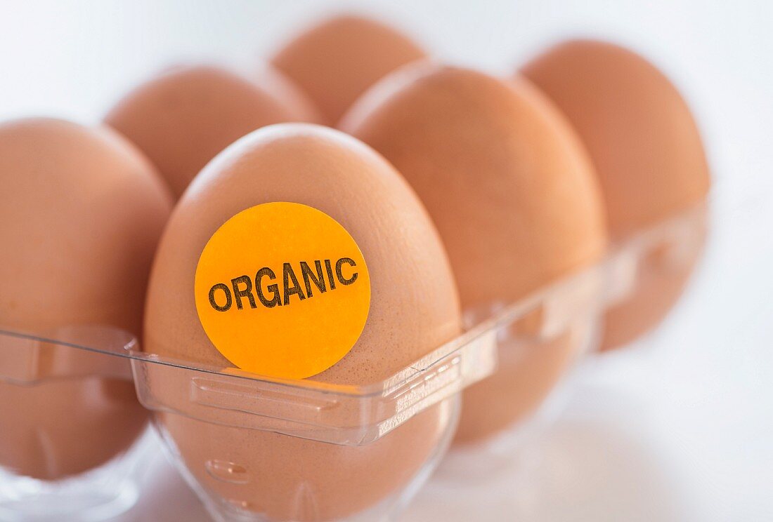 Eier im Eierbehälter mit Organic-Aufkleber
