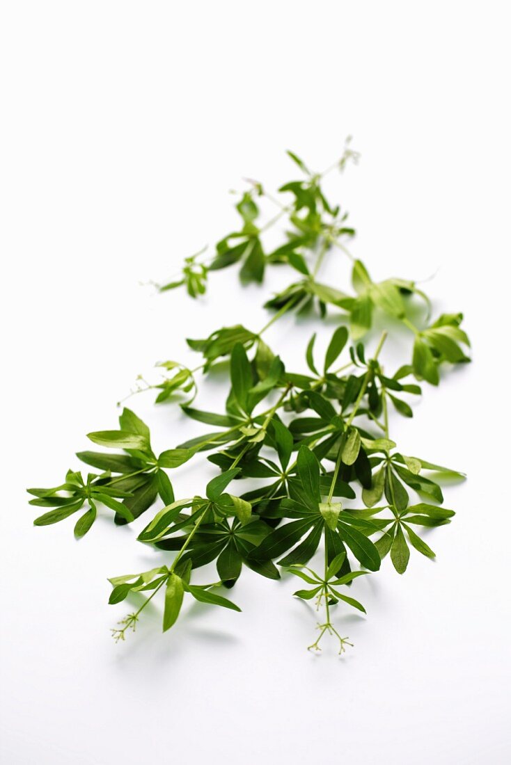 Woodruff sprigs on a white surface
