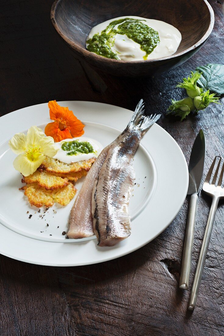 Soused herrings with potato pancakes and nasturtium leaf pesto