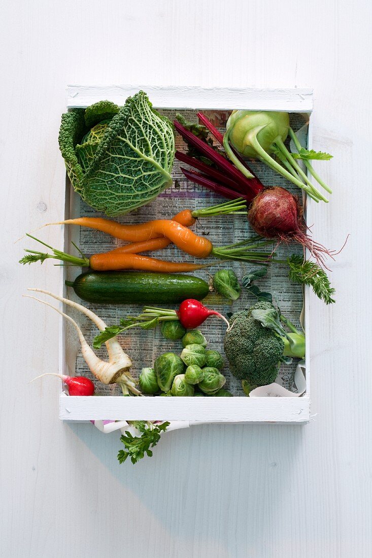 A wooden box of fresh vegetables (brassicas, root vegetables and a cucumber)