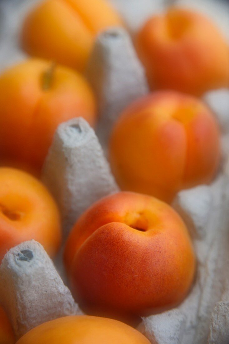 Apricots in an egg box