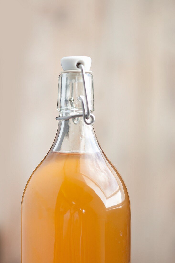 Home-made elderflower cordial in a stoppered bottle