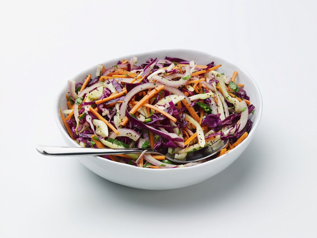 Coleslaw with a Honey Mustard Dressing