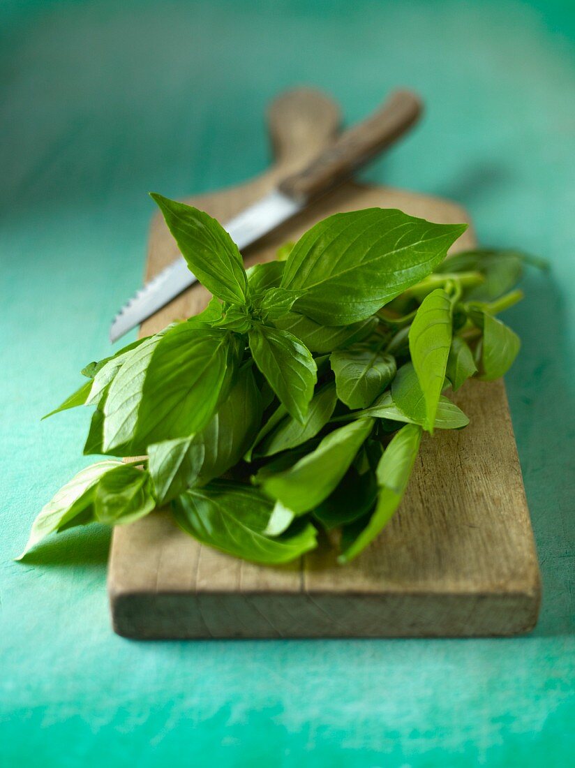 Fresh basil with a knife on a chopping board