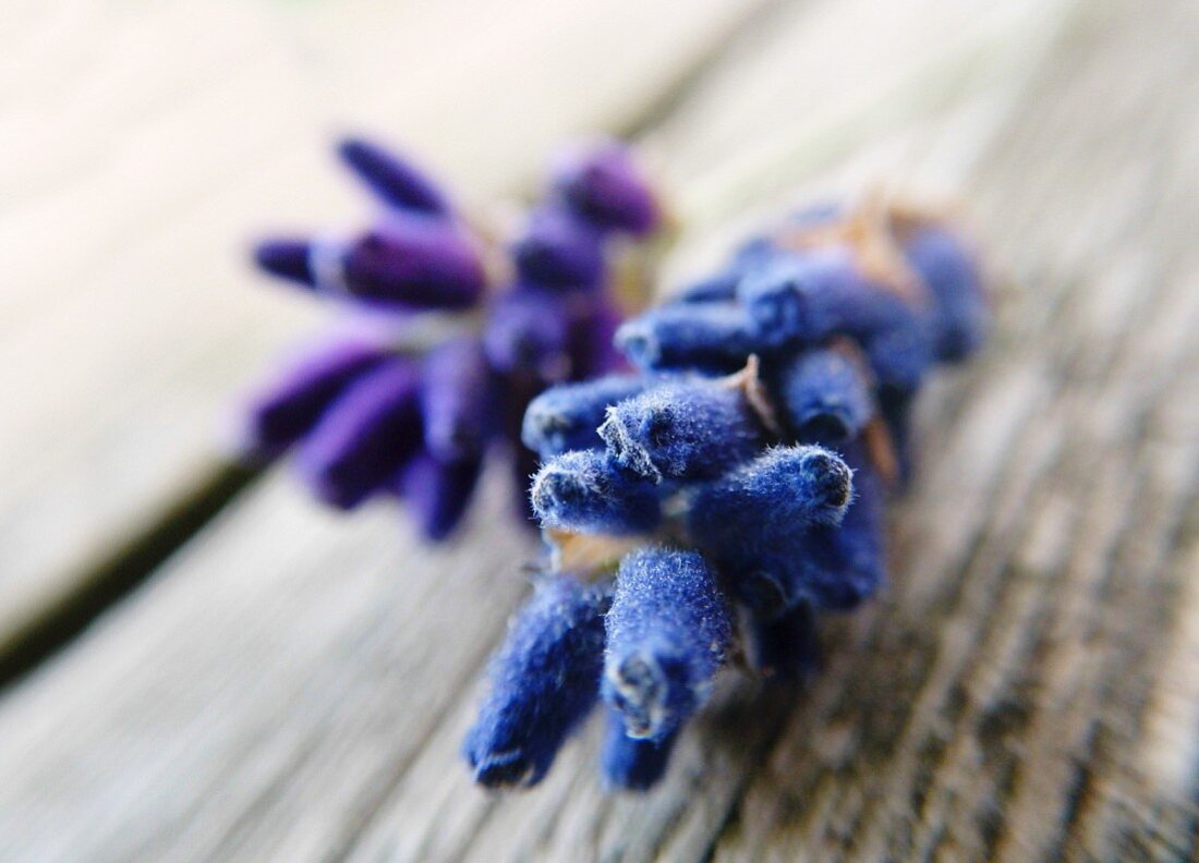 Lavender blossom on a rustic wooden table