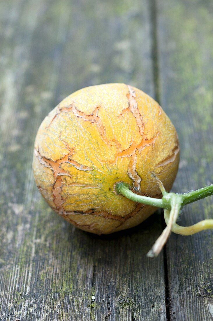 A yellow melon