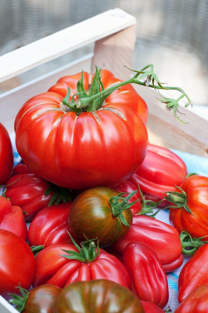 Buffalo Heart tomatoes and green tomatoes in a wooden crate