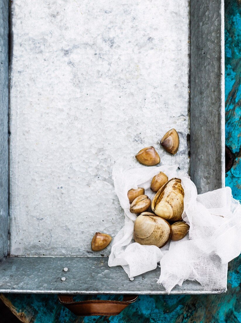 Fresh mussels on ice