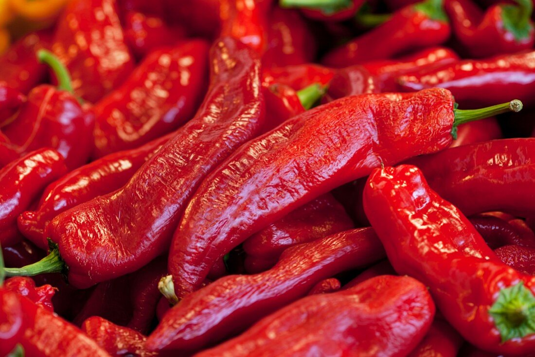 Red chillies (full-frame)