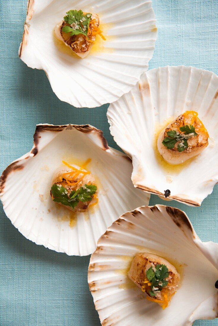 Baked scallops in the shell