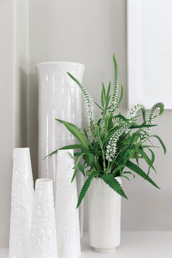 Verschiedene Porzellanvasen, eine mit grüner blühender Pflanze