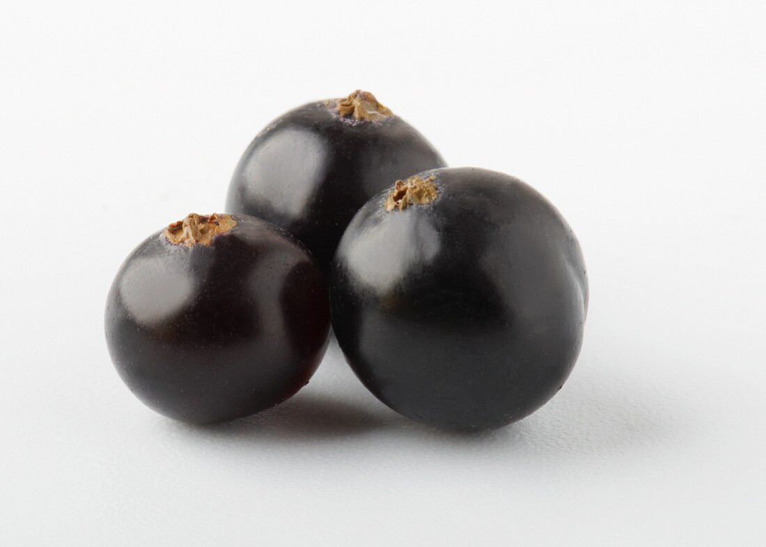 Three blackcurrants against a white background