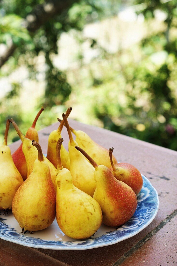 Yellow and red pears on a plate