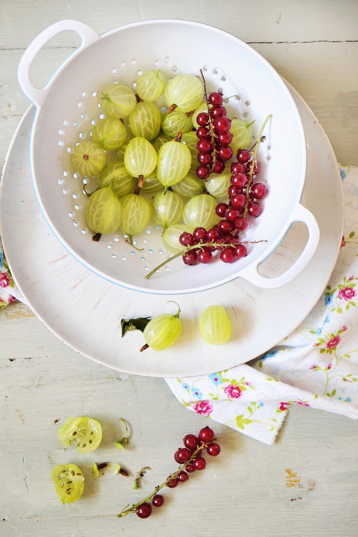 Gooseberries and redcurrants in a colander
