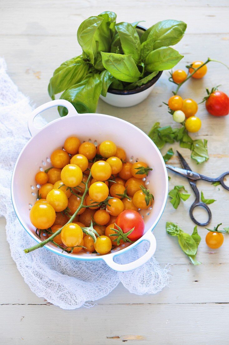 Yellow cherry tomatoes and basil
