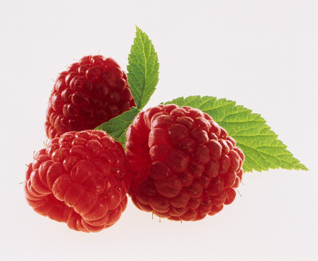 Three Raspberries Close Up with Leaves