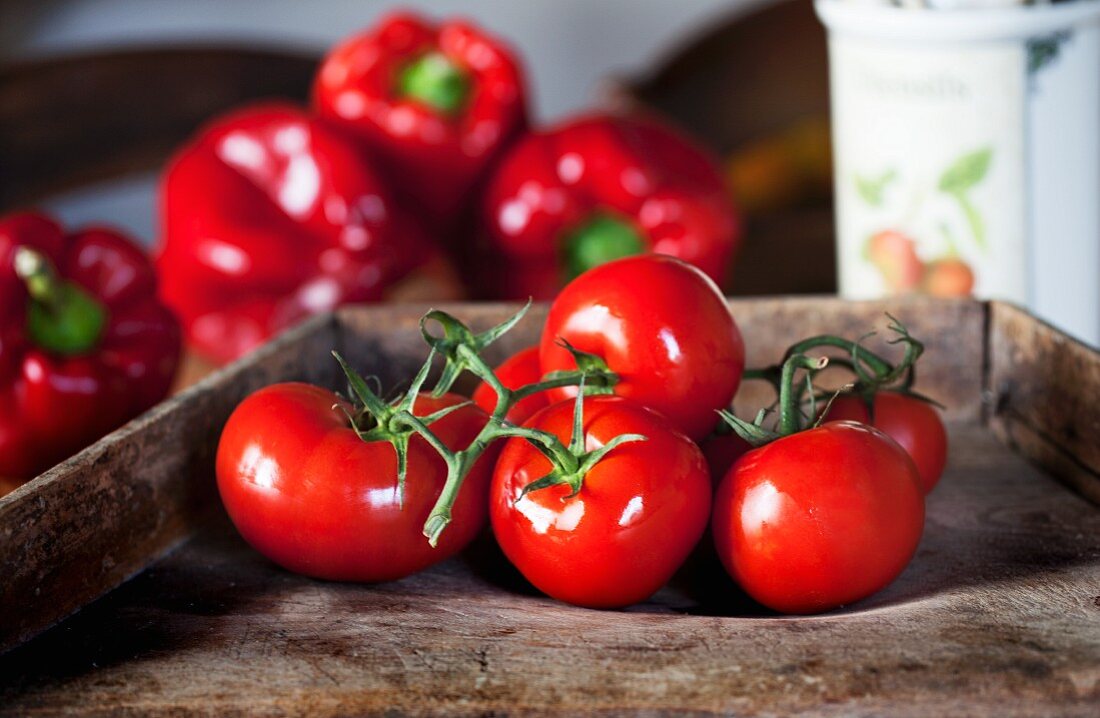 Knallig rote Tomaten und roter Paprika