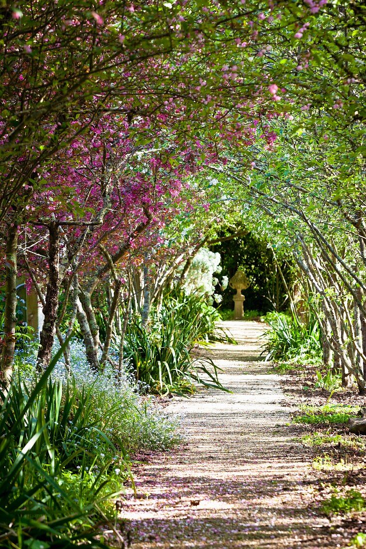 Arched walkway of Japanese crab apple trees (Malus Floribund) with stone sculpture at far end