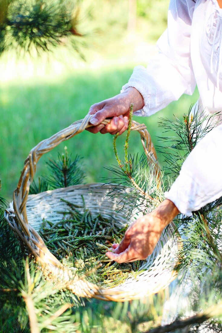 Wicker basket of gathered pine flowers held in feminine hands