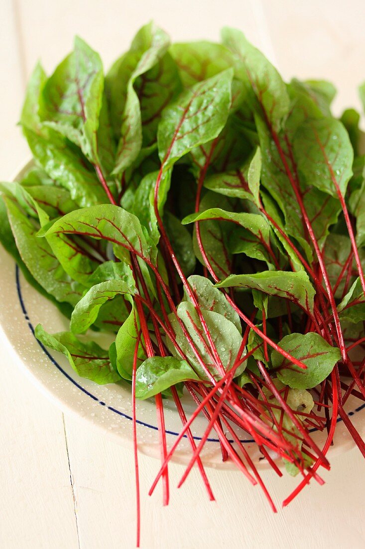 Freshly picked blood dock