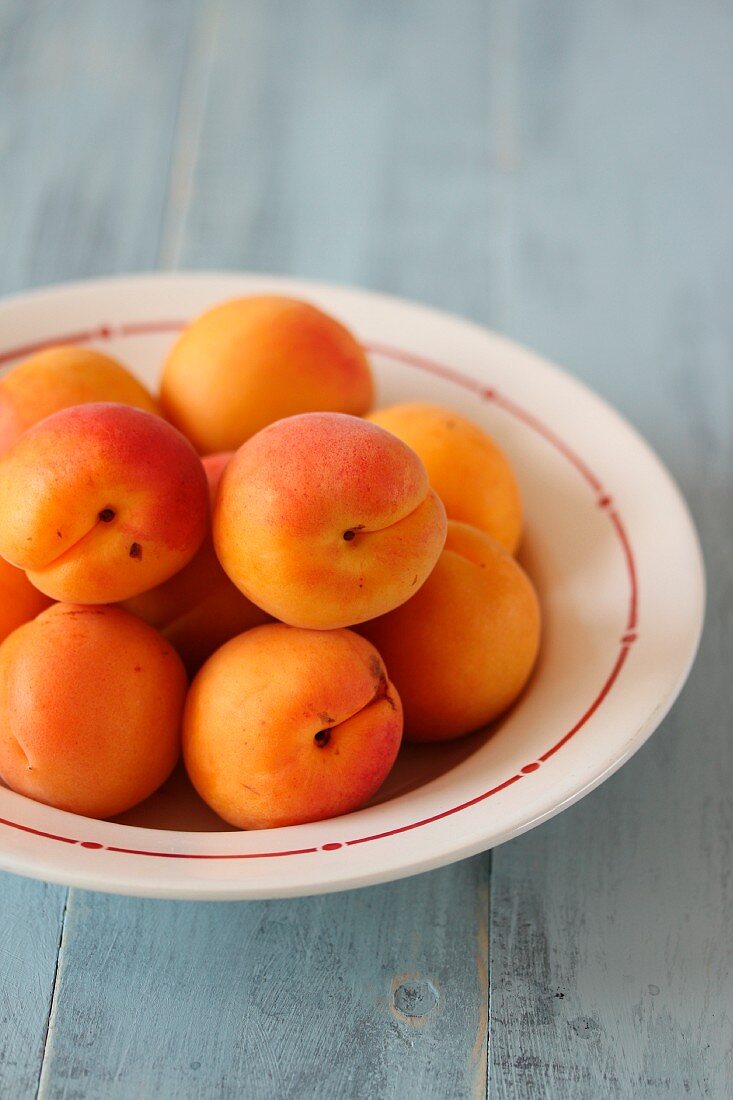 A bowl of fresh apricots