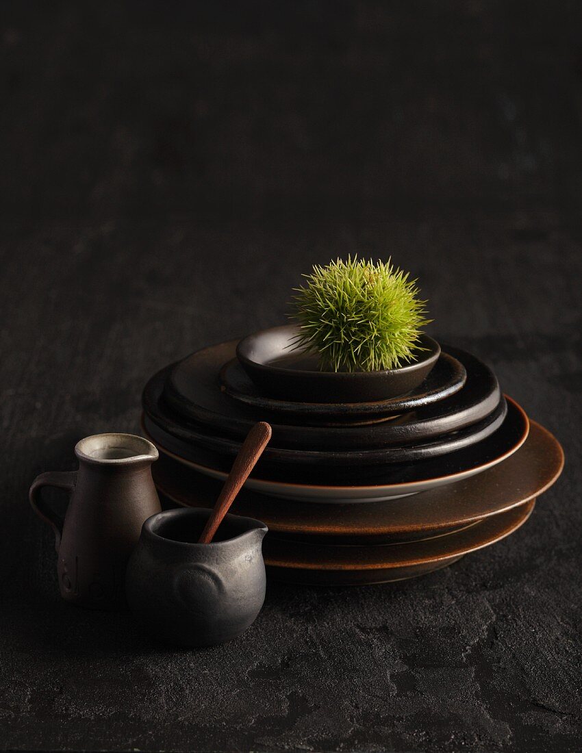 Dark brown ceramic crockery with a chestnut in its prickly case