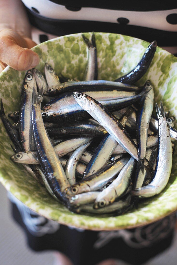 Fresh anchovies in a bowl