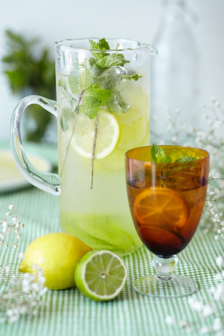 Lemon and lime cordial with peppermint and ice cubes