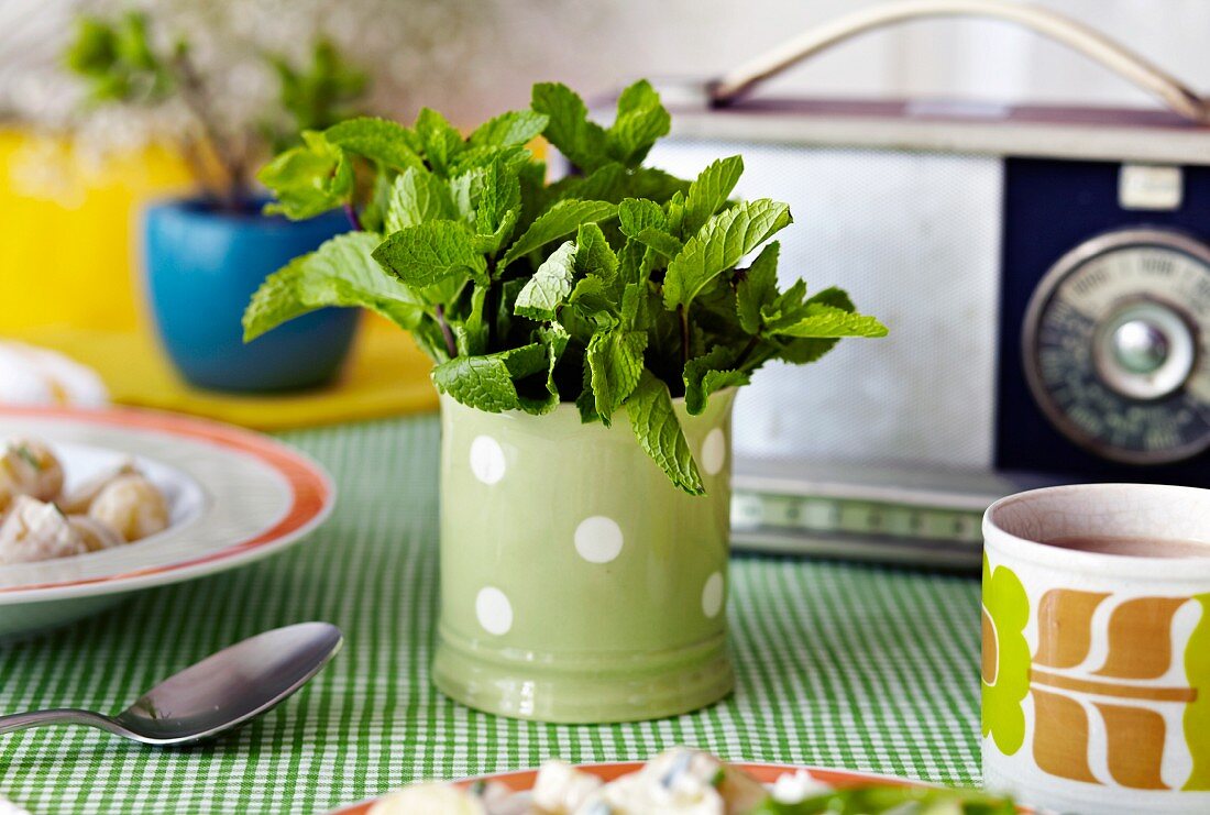 Fresh mint in a mug