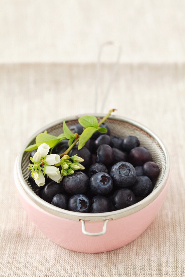 Heidelbeeren mit Sieb im Schälchen