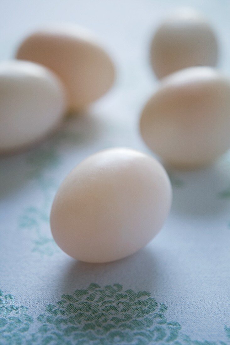 Duck eggs