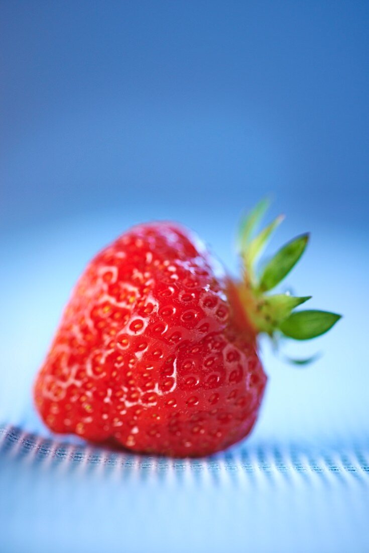 A whole strawberry against a blue background