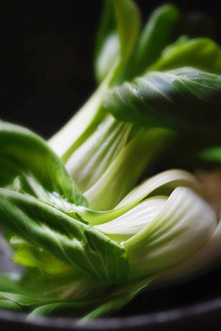 Frischer Baby-Pak Choi (Nahaufnahme)